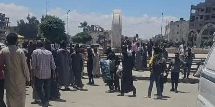 تحديد سعر شراء القمح بـ 46 ألف للطن الواحد إجحاف بحق السوريين