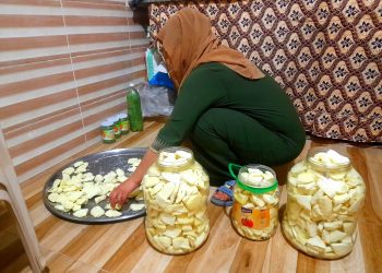 موسم الجبن البلدي… تقاليد الأجداد من خيرات الماشية