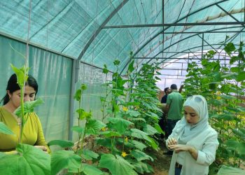 كلية الهندسة الزراعية بجامعة روج آفا تواصل إعداد كوادر مؤهلة لخدمة وتطوير القطاع الزراعي