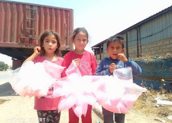 عدسة العدد 2436 من صحيفة روناهي