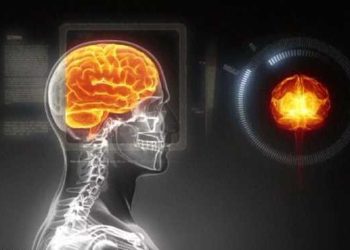 الشيخوخة المبكرة للدماغ.. دراسة تكشف الرابط الخفي