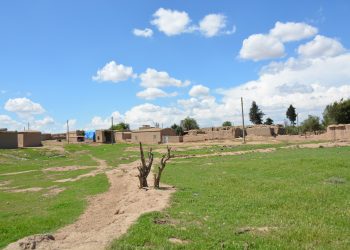 عدسة العدد 2444-1428 من صحيفة روناهي