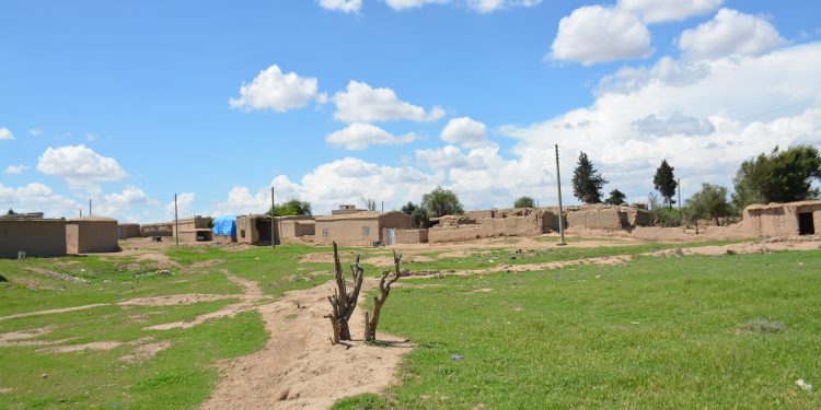 عدسة العدد 2444-1428 من صحيفة روناهي