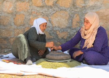 عدسة العدد 2447-1429 من صحيفة روناهي