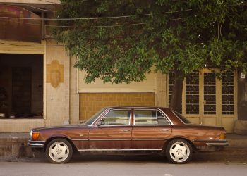 عدسة العدد 2449 من صحيفة روناهي