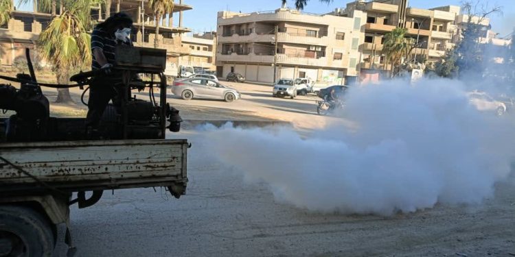 مكافحة الحشرات في قامشلو حملات مستمرة وشكاوى تُعالج ميدانياً