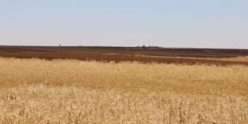 عدسة العدد 2455 من صحيفة روناهي