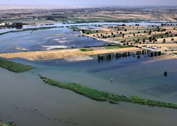في اليوم العالمي للبيئة.. تحديات التلوث وآمال التعافي البيئي في سوريا
