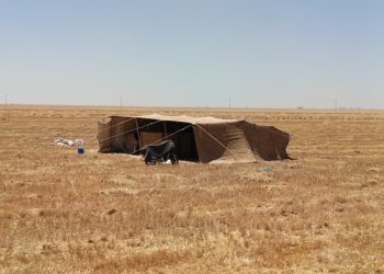 عدسة العدد 2434 من صحيفة روناهي