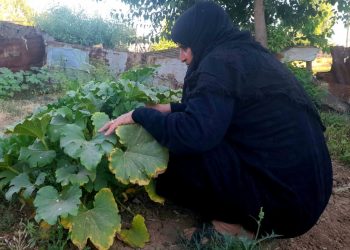 بالاعتماد على الإنتاج المنزلي.. ستينية تؤمّن احتياجات عائلتها وتخفف الأعباء المعيشية