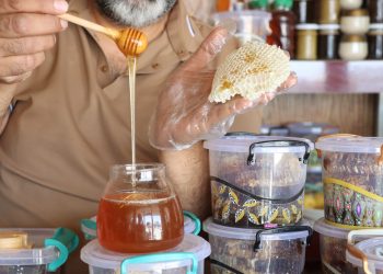 رحلة في عالم النحل والتعرف على خبرة شيخ نبي حمي في إنتاج العسل والعلاج الطبيعي