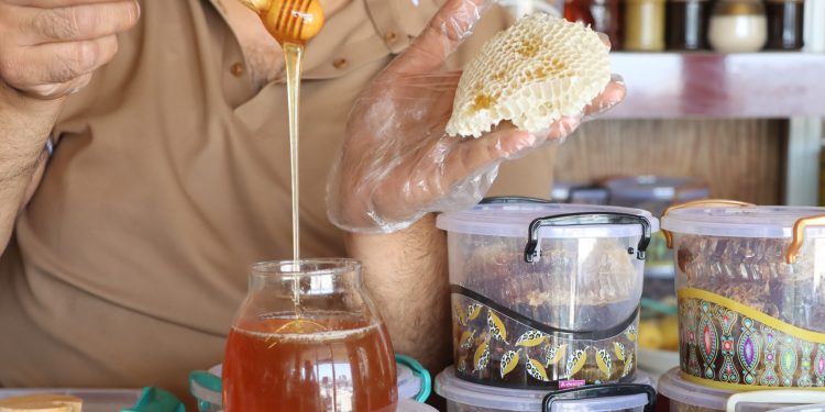 رحلة في عالم النحل والتعرف على خبرة شيخ نبي حمي في إنتاج العسل والعلاج الطبيعي