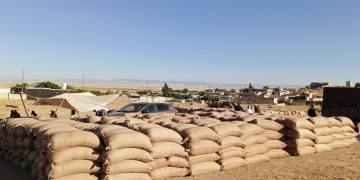 عدسة العدد 2459-1433 من صحيفة روناهي