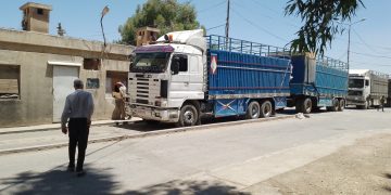 رغم وفرة الإنتاج.. مزارعو الحسكة يشتكون من ارتفاع التكاليف وتعقيدات التسليم