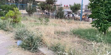 حدائق قامشلو.. استثمار خاص وإهمال خدمي وحاجة للتطوير