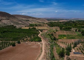 العائدون إلى عفرين يؤكدون إن منازلهم لا تزال بيد المستوطنين الغرباء