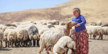 الحياة الكومينالية… من المجتمع الطبيعي إلى مشروع المجتمع الديمقراطي ـ1ـ