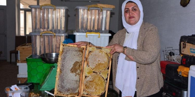 25 عاماً بين خلايا النحل ورحلة البحث عن العسل الطبيعي