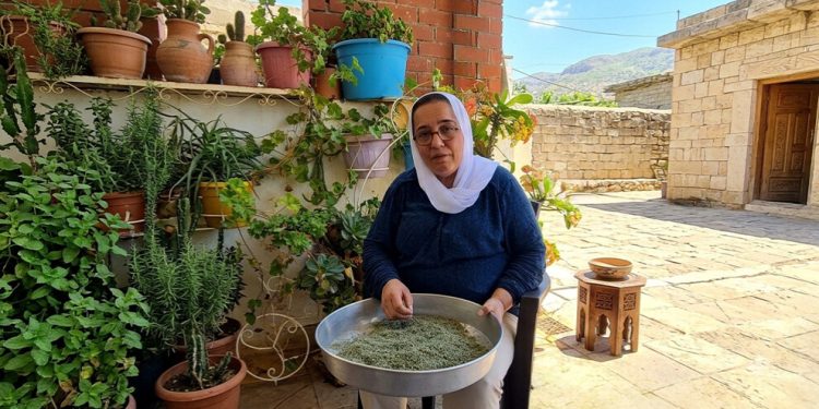من بين الحرب والركام… لبنانية توجد مساحة للأمل 